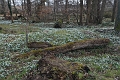 20 02 12_6175